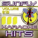 Sunfly Hits Vol.213