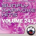Sunfly Hits Vol.243