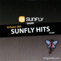 Sunfly Hits Vol.285