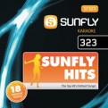 Sunfly Hits Vol.323 - January 2013