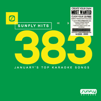 Sunfly Hits Vol.383 - January 2018 + 15 Track Voucher