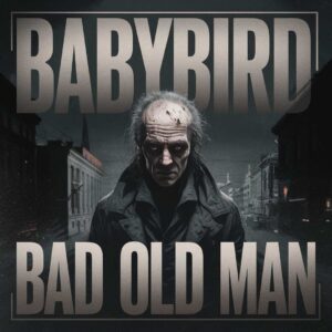 SF1100582 – Babybird – Bad Old Man