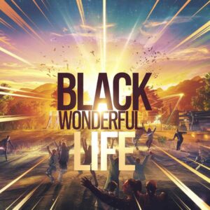 SF1100910 – Black – Wonderful Life