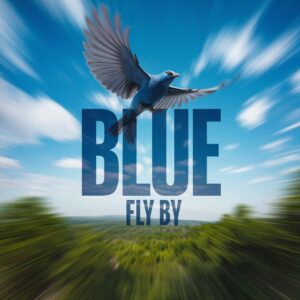SF1100990 – Blue – Fly By