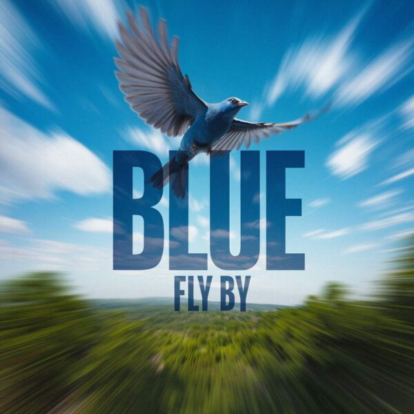 Blue - Fly By