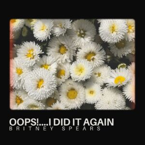 SF1101268 – Britney Spears – Oops!….I Did It Again