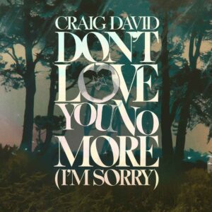 SF1101790 – Craig David – Don’t Love You No More (I’m Sorry)