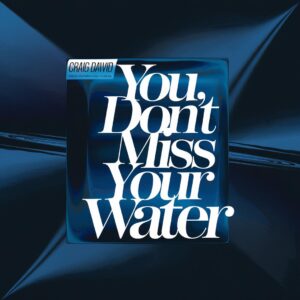 SF1101799 – Craig David – You Don’t Miss Your Water