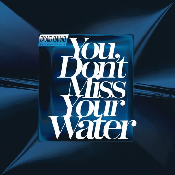 Craig David - You Don't Miss Your Water