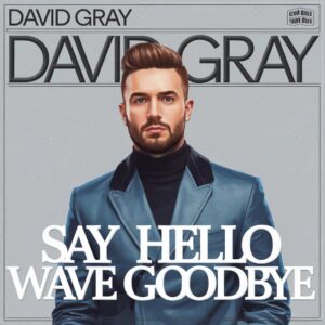 SF1102018 – David Gray – Say Hello Wave Goodbye