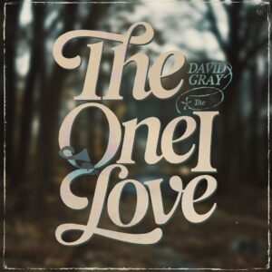 SF1102019 – David Gray – The One I Love