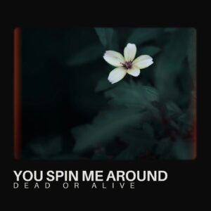 SF1102049 – Dead Or Alive – You Spin Me Around