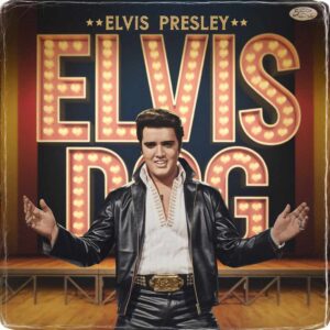 SF1102585 – Elvis Presley – Hound Dog