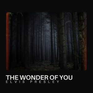 SF1102619 – Elvis Presley – The Wonder Of You