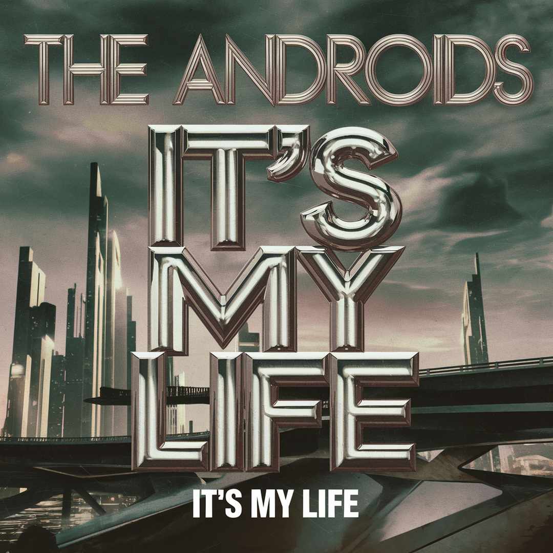 The Androids - It's My Life