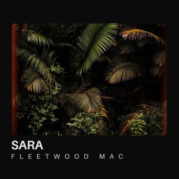 Fleetwood Mac - Sara