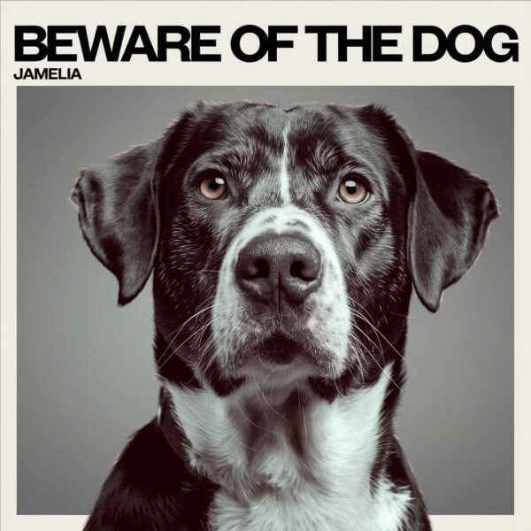 Jamelia - Beware Of The Dog
