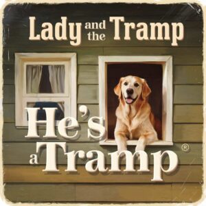 SF1104513 – Lady and The Tramp – He’s A Tramp