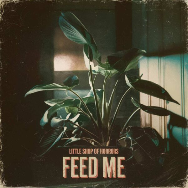 Little Shop Of Horrors - Feed Me