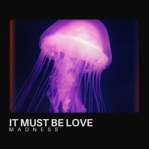SF1104933 – Madness – It Must Be Love