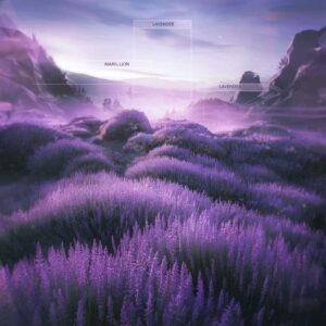 SF1105088 – Marillion – Lavender