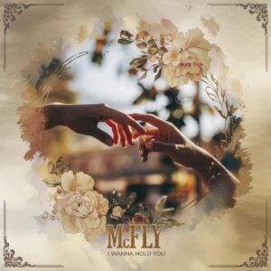 SF1105197 – McFly – I Wanna Hold You