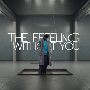 SF1105633 – The Feeling – Without You
