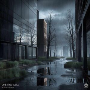 SF1105751 – One True Voice – After You’re Gone