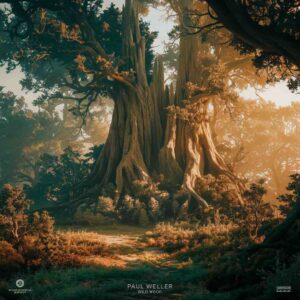 SF1105890 – Paul Weller – Wild Wood