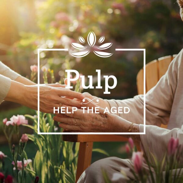 Pulp - Help the Aged