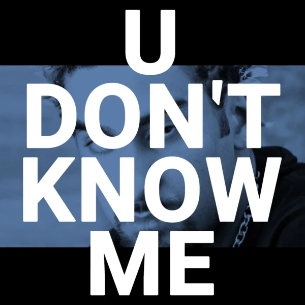 Armand Van Helden - You Don't Know Me