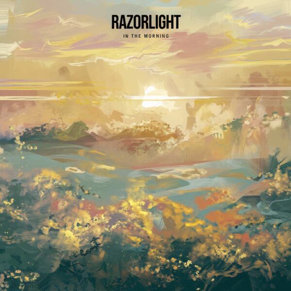 Razorlight - In The Morning