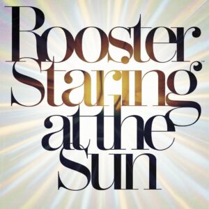 SF1106562 – Rooster – Staring At The Sun