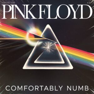 SF1106740 – Pink Floyd – Comfortably Numb