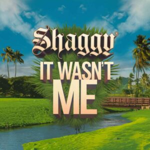 SF1106783 – Shaggy – It Wasn‚Äôt Me