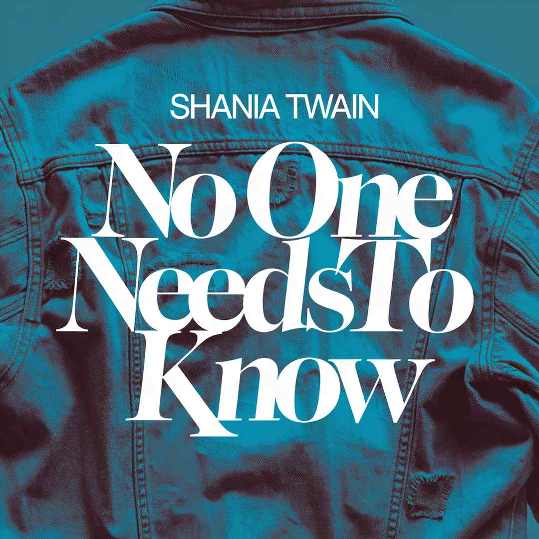 Shania Twain - No One Needs To Know
