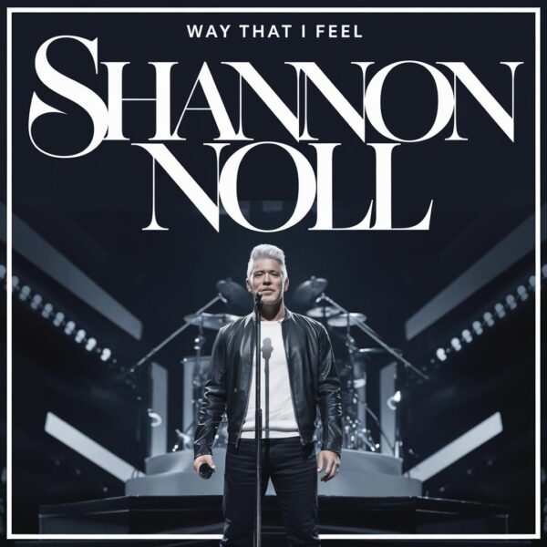 Shannon Noll - Way That I Feel