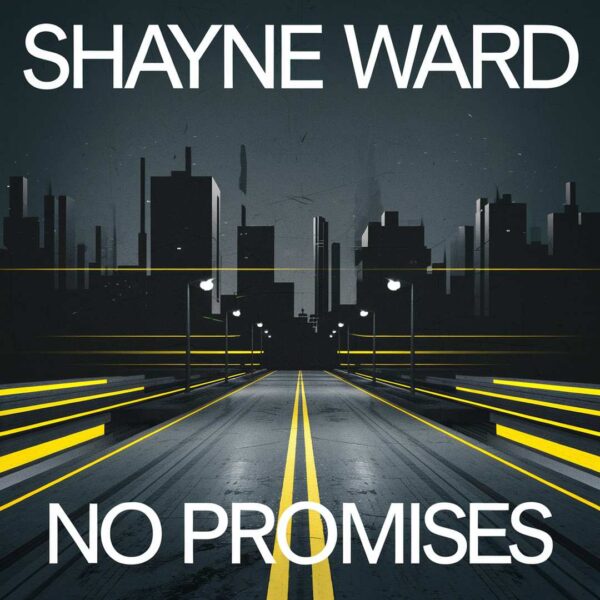 Shayne Ward - No Promises