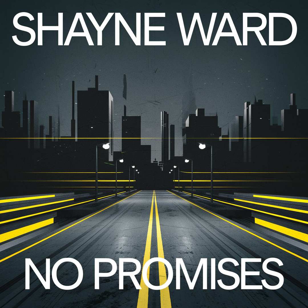 Shayne Ward - No Promises