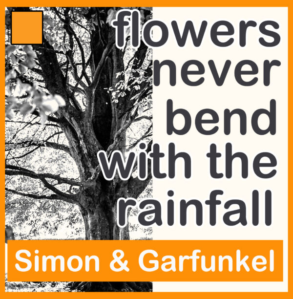 Simon & Garfunkel - Flowers Never Bend with The Rainfall