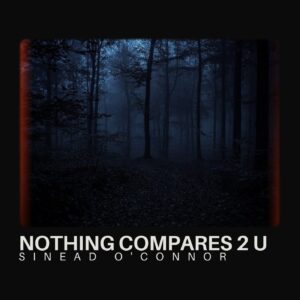 SF1106986 – Sinead O’Connor – Nothing Compares 2 U