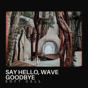 SF1107068 – Soft Cell – Say Hello, Wave Goodbye