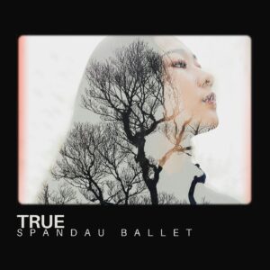 SF1107126 – Spandau Ballet – TRUE