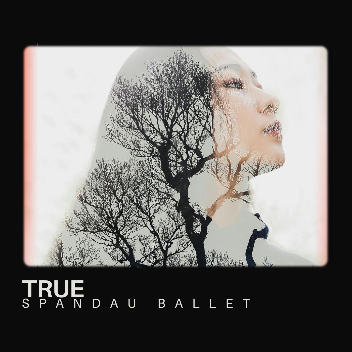 Spandau Ballet - TRUE