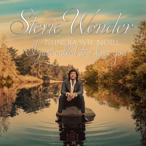 Stevie Wonder - I Just Called to Say I Love You