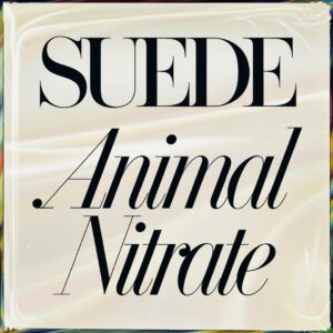 SF1107361 – Suede – Animal Nitrate