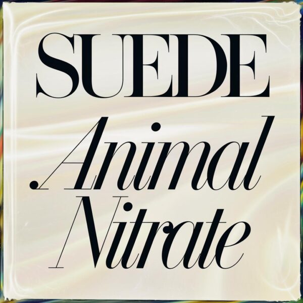 Suede - Animal Nitrate
