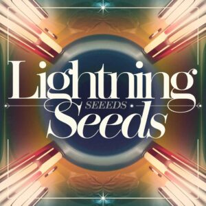 SF1107487 – Lightning Seeds – Change
