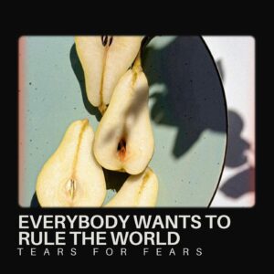 SF1107488 – Tears For Fears – Everybody Wants to Rule the World