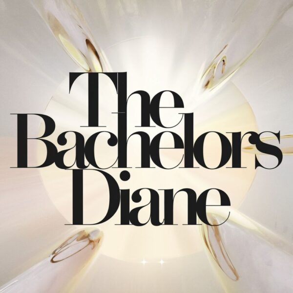 The Bachelors - Diane